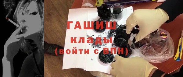 хмурый Новозыбков