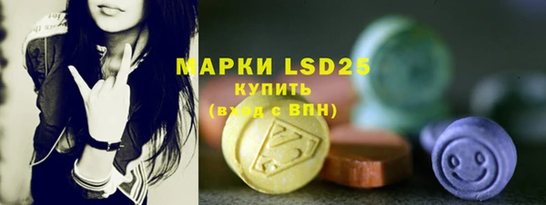 хмурый Новозыбков