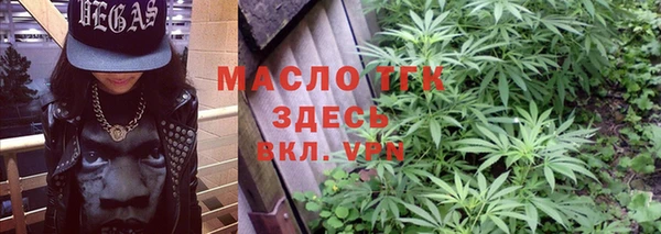 хмурый Новозыбков