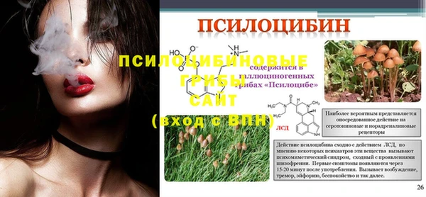 хмурый Новозыбков
