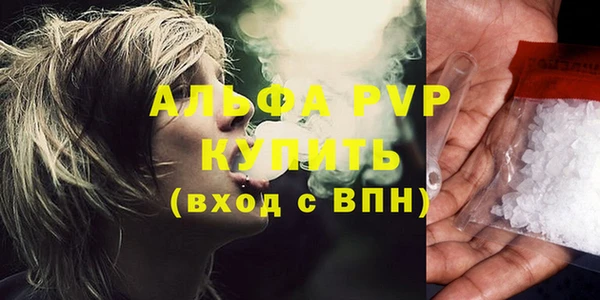 хмурый Новозыбков