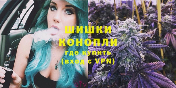 хмурый Новозыбков