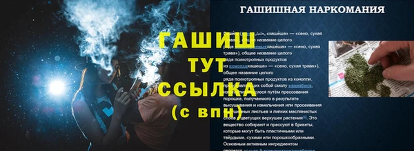 хмурый Новозыбков