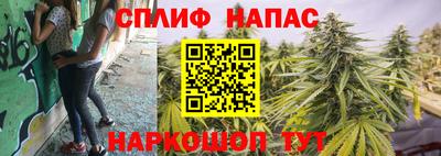 крисы Гусь-Хрустальный