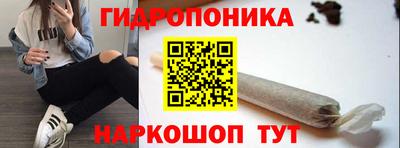 spice Гусиноозёрск