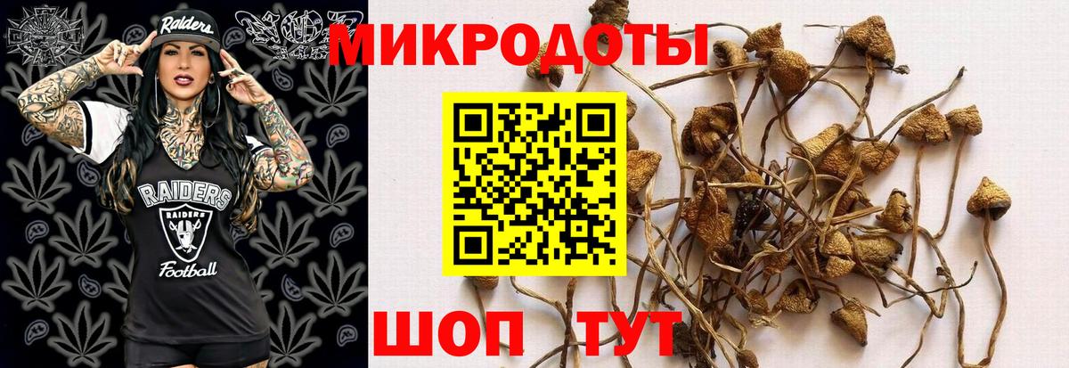Псилоцибиновые грибы Cubensis Крымск