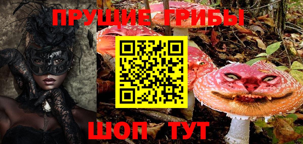 Галлюциногенные грибы Cubensis  Вход с VPN  Крымск 